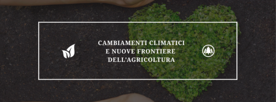 Copsa evento sul clima